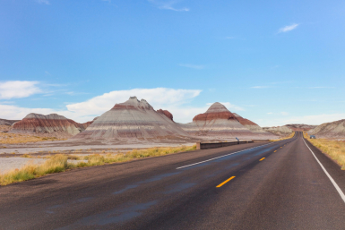 Petrified Forest Arizona - Brand USA