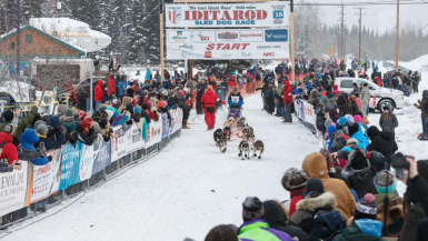 Alaska-Iditarod-Dog-Race-startet-2025-in-Fairbanks